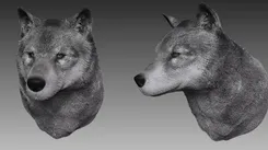ZBrush ЗБруш — скриншот 3